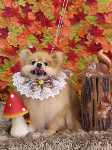 20241124梛都ちゃん